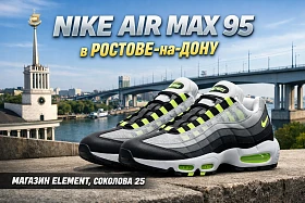 Nike Air Max 95 — оригинальные кроссовки в Ростове-на-Дону