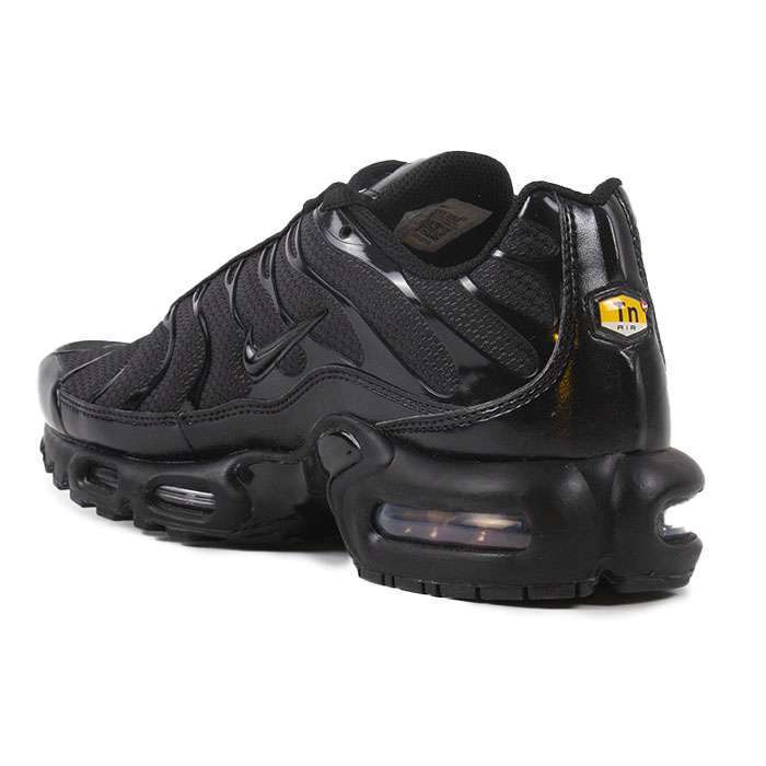 Кроссовки Nike Air Max Plus 604133-050