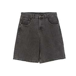 Шорты Anteater Baggy grey