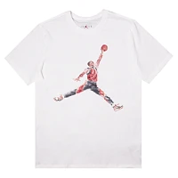 Футболка Jordan Jumpman Watercolour FN5980-100